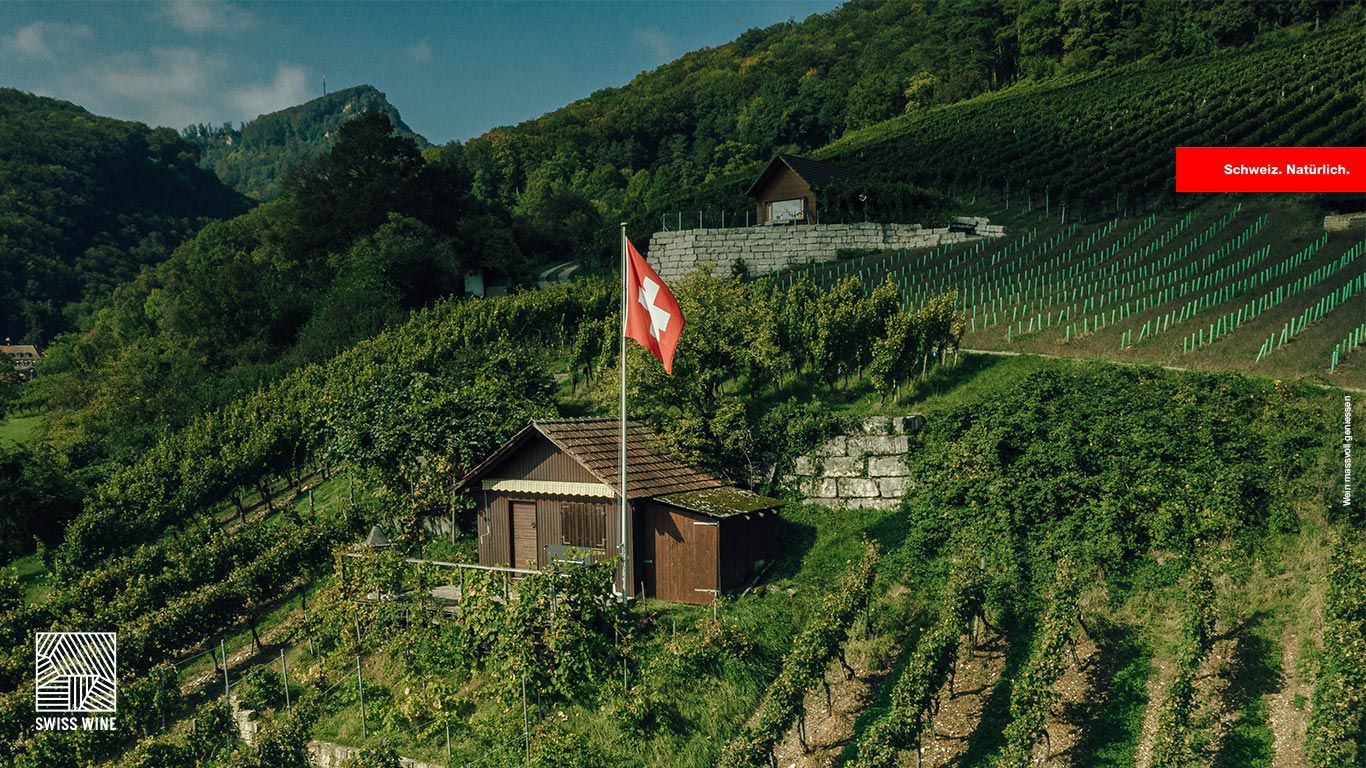 Bild: Die Schweizer Weinwochen