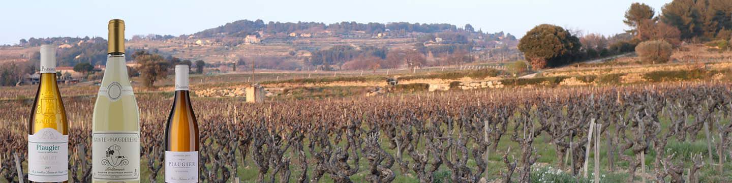 Bild: Domaine Tempier