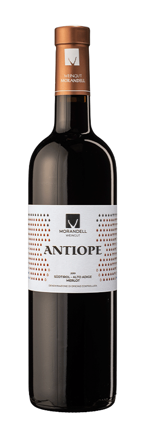 Merlot "Antiope"