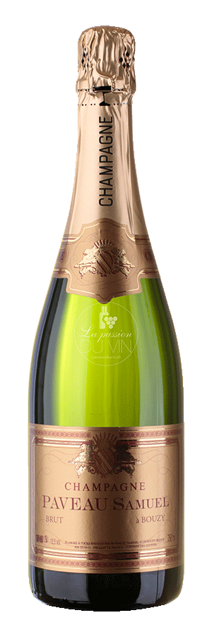 Champagne Samuel Paveau Brut