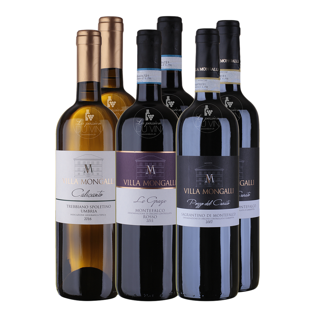 Degustationspaket "Villa Mongalli"