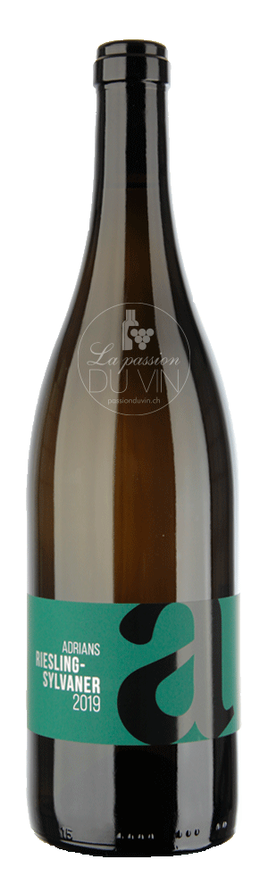 Riesling-Sylvaner