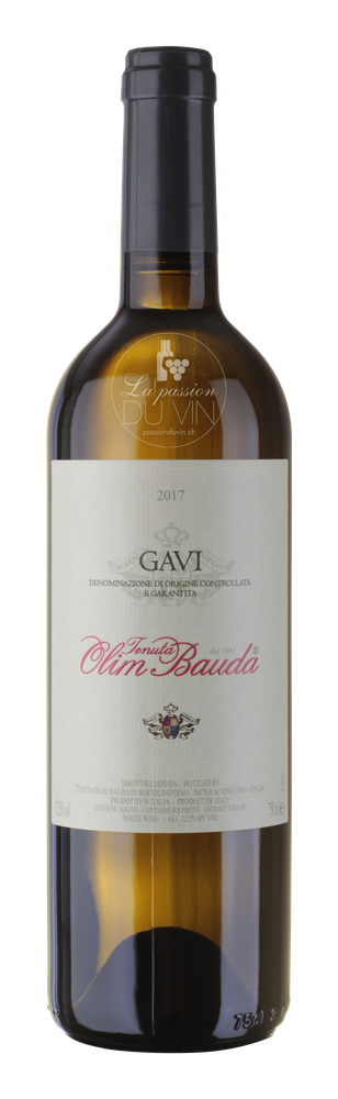 Gavi